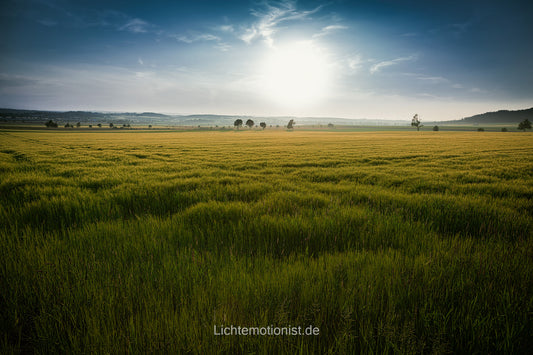 Feldidylle bei Aasen