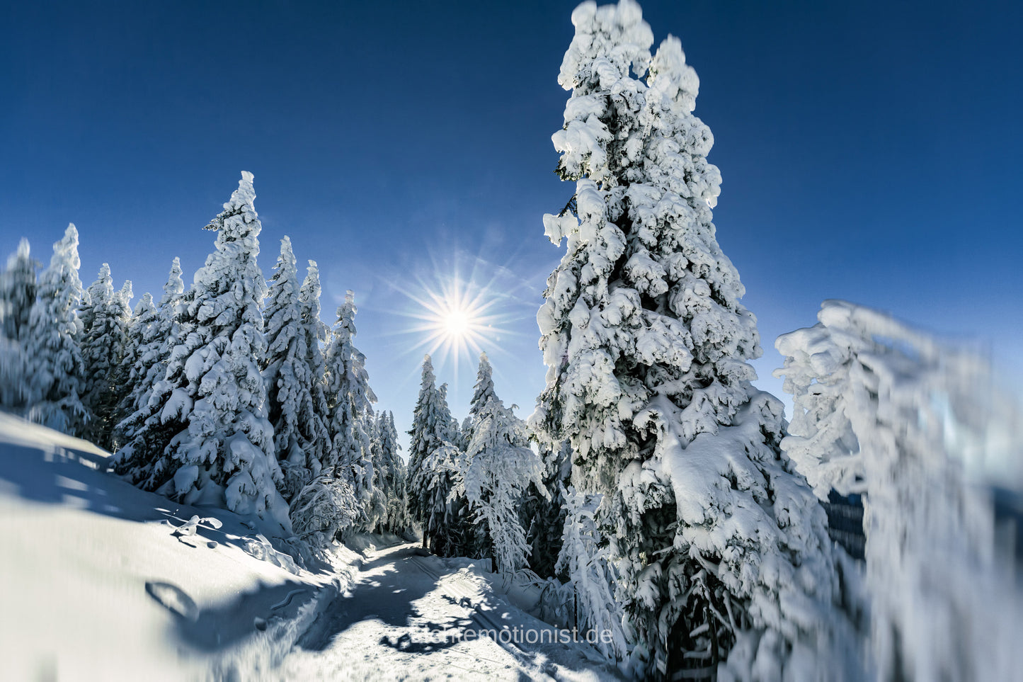 Loipe in verschneiter Winterlandschaft