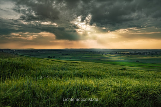 Sommerabend im Wind