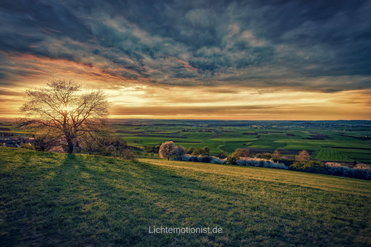 Frühlingserwachen auf dem Fürstenberg