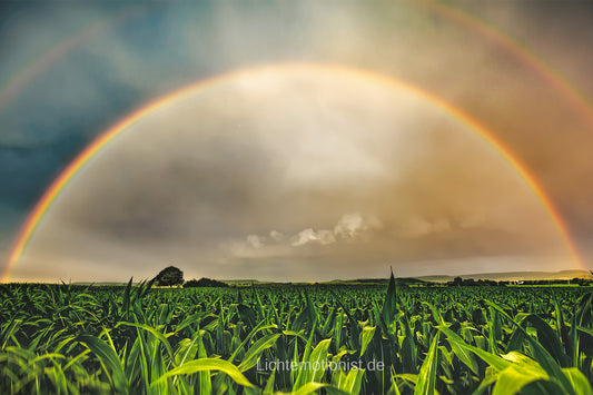 Hoffnung des Regenbogens