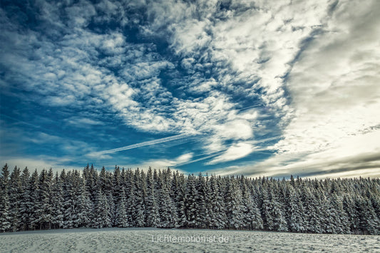 Winterwald an der Kalten Herberge mit verschneiten Tannen