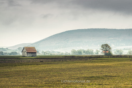 Nebel über grünen Feldern