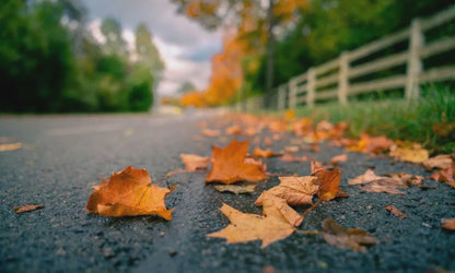 Herbstliche Straße