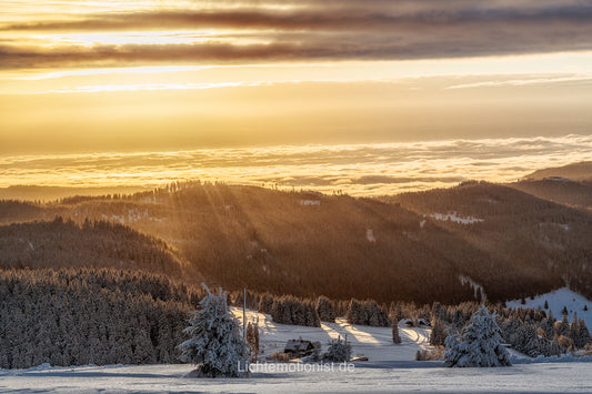 Goldener Sonnenaufgang