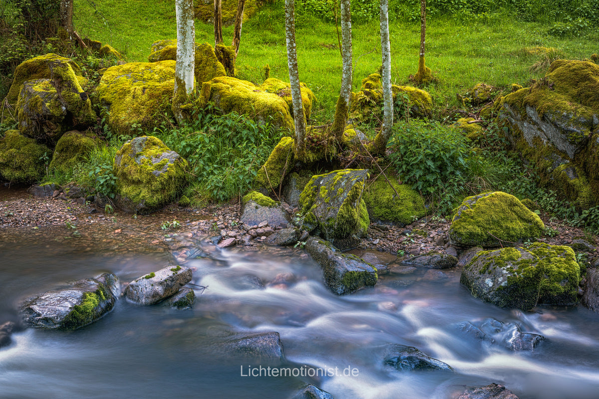 Sanfter Flusslauf im grünen Waldparadies